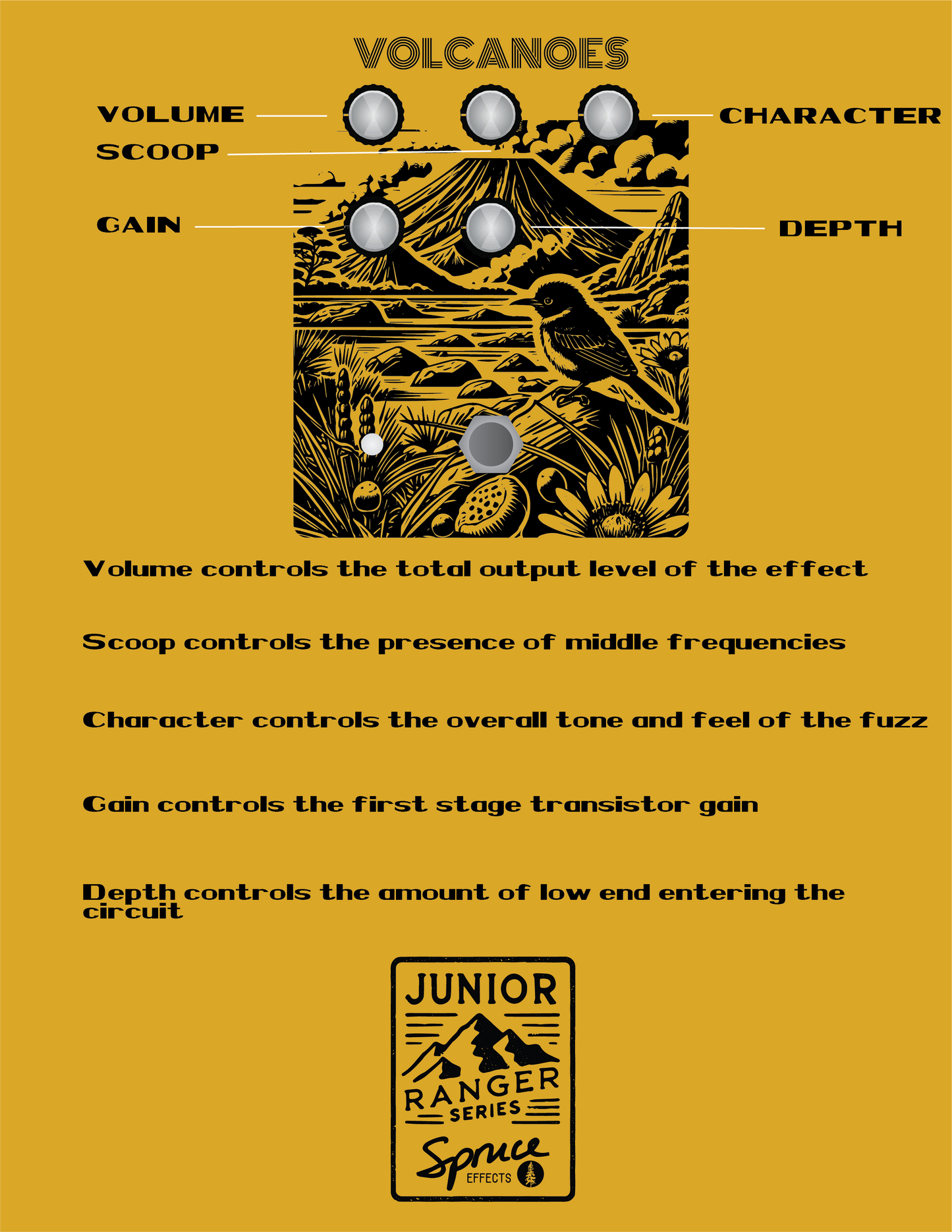 Junior Ranger Series: Volcanoes