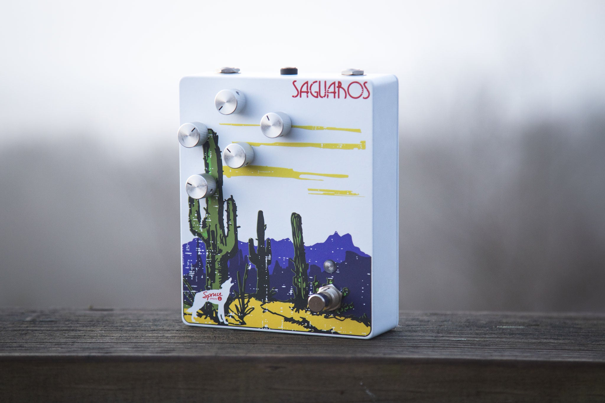 The Americana Series: Saguaros