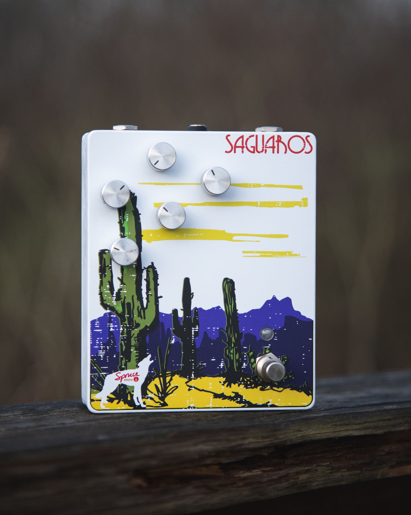 The Americana Series: Saguaros